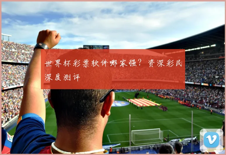 世界杯彩票软件哪家强?资深彩民深度测评