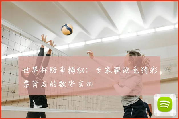 世界杯赔率揭秘：专家解读竞猜彩票背后的数字玄机