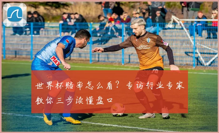 世界杯赔率怎么看?专访行业专家教你三步读懂盘口